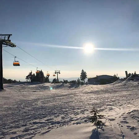 In Near Lift