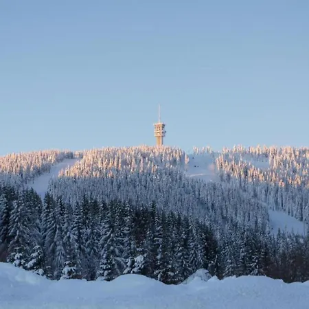 Lejlighed In Near Lift