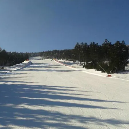 In Near Lift Lejlighed *