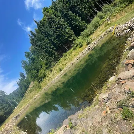 In Near Lift *