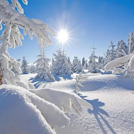 In Near Lift * Jachymov